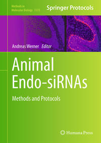 Vorderes Coverbild Animal Endo-SiRNAs