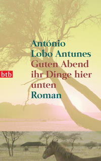 Vorderes Coverbild Guten Abend ihr Dinge hier unten