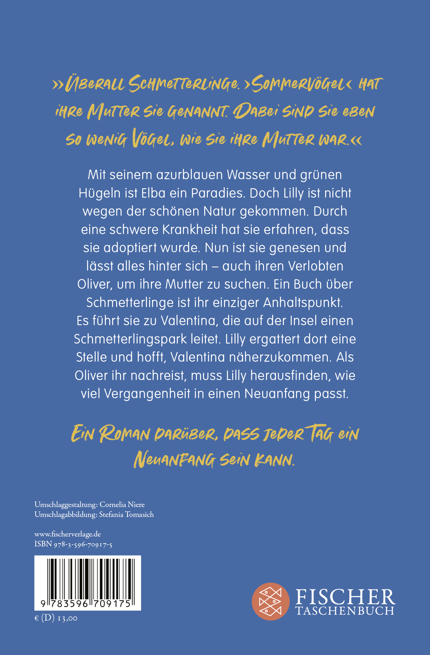 Rückseitencover Sommervogelflug