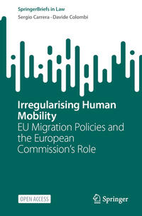 Vorderes Coverbild Irregularising Human Mobility