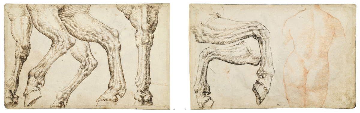 Beispielinhalt (Bild) Maarten van Heemskerck