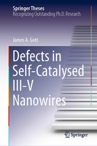 Vorderes Coverbild Defects in Self-Catalysed III-V Nanowires