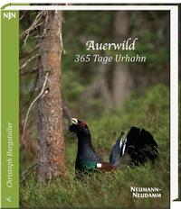 Vorderes Coverbild Auerwild – 365 Tage Urhahn