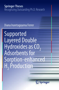 Vorderes Coverbild Supported Layered Double Hydroxides as CO2 Adsorbents for Sorption-enhanced H2 Production