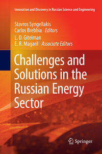 Vorderes Coverbild Challenges and Solutions in the Russian Energy Sector