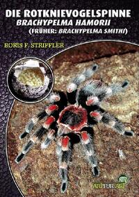Vorderes Coverbild Die Rotknievogelspinne