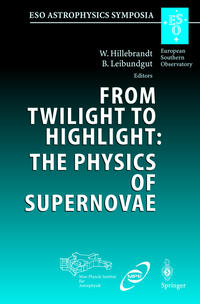 Vorderes Coverbild From Twilight to Highlight: The Physics of Supernovae