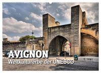 Vorderes Coverbild Avignon - Weltkulturerbe der UNESCO (Wandkalender 2025 DIN A2 quer), CALVENDO Monatskalender