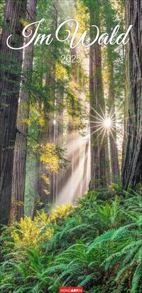 Vorderes Coverbild Im Wald Kalender 2025
