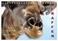 Vorderes Coverbild Giraffen – Faszination der Wildnis (Tischkalender 2025 DIN A5 quer), CALVENDO Monatskalender