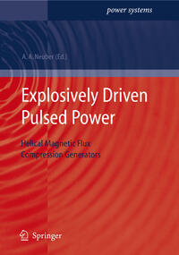 Vorderes Coverbild Explosively Driven Pulsed Power