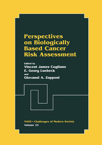 Vorderes Coverbild Perspectives on Biologically Based Cancer Risk Assessment