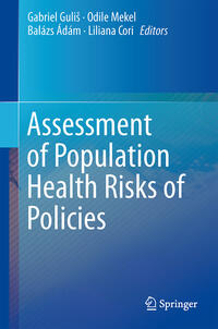 Vorderes Coverbild Assessment of Population Health Risks of Policies