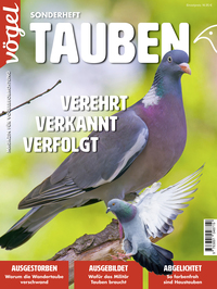 Vorderes Coverbild Tauben