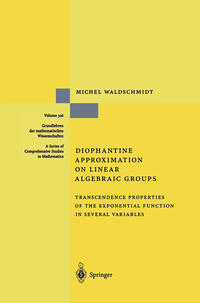 Vorderes Coverbild Diophantine Approximation on Linear Algebraic Groups