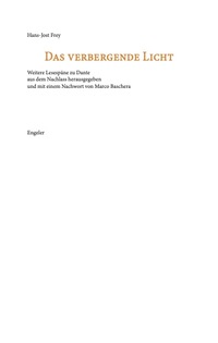 Vorderes Coverbild Das verbergende Licht
