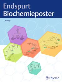Vorderes Coverbild Endspurt Biochemieposter