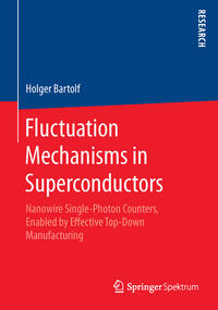 Vorderes Coverbild Fluctuation Mechanisms in Superconductors