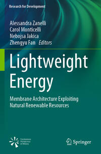 Vorderes Coverbild Lightweight Energy