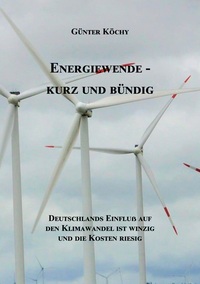 Vorderes Coverbild Energiewende - Kurz und Bündig