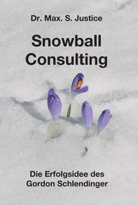 Vorderes Coverbild Snowball Consulting