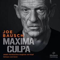 Vorderes Coverbild Maxima Culpa