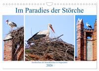 Vorderes Coverbild Im Paradies der Störche - Dorfkirchen als Storchkirchen in Ostpreußen (Wandkalender 2026 DIN A4 quer), CALVENDO Monatskalender