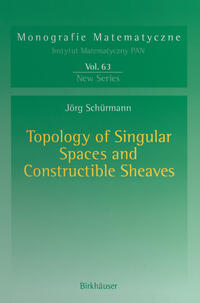 Vorderes Coverbild Topology of Singular Spaces and Constructible Sheaves