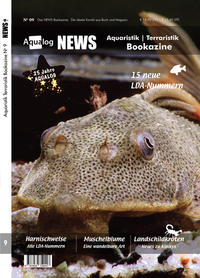 Vorderes Coverbild NEWS Bookazine Nr. 9 (Herbst 2020)