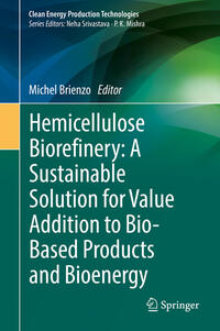 Vorderes Coverbild Hemicellulose Biorefinery: A Sustainable Solution for Value Addition to Bio-Based Products and Bioenergy