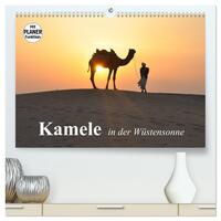 Vorderes Coverbild Kamele in der Wüstensonne (hochwertiger Premium Wandkalender 2026 DIN A2 quer), Kunstdruck in Hochglanz