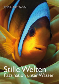 Vorderes Coverbild Stille Welten