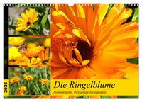 Vorderes Coverbild Die Ringelblume. Sonnengelbe, vielseitige Heilpflanze (Wandkalender 2025 DIN A3 quer), CALVENDO Monatskalender