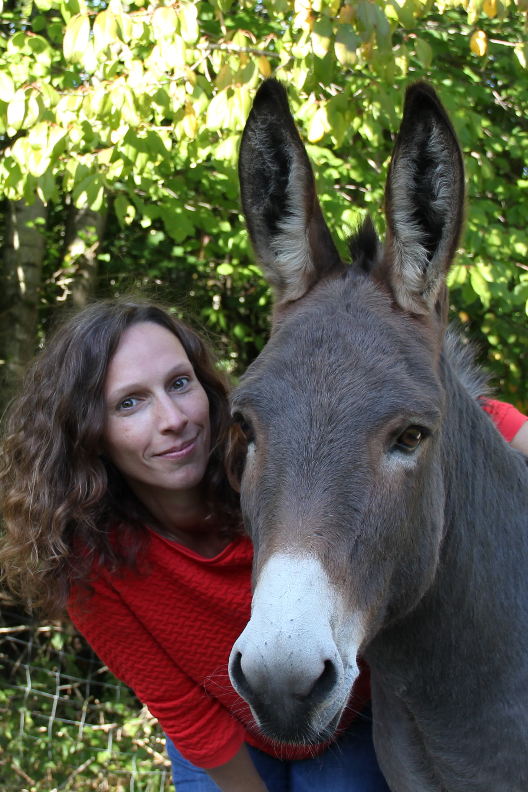 Bild des Mitwirkenden Ponyschule Trippelwick - Ein Einhorn spricht nicht mit jedem