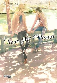 Vorderes Coverbild I Hear The Sunspot 2