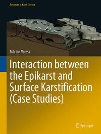 Vorderes Coverbild Interaction between the Epikarst and Surface Karstification (Case Studies)
