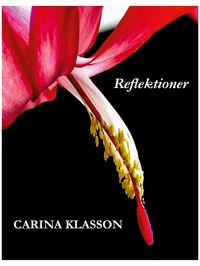 Vorderes Coverbild Reflektioner