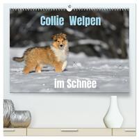 Vorderes Coverbild Collie Welpen im Schnee (hochwertiger Premium Wandkalender 2026 DIN A2 quer), Kunstdruck in Hochglanz