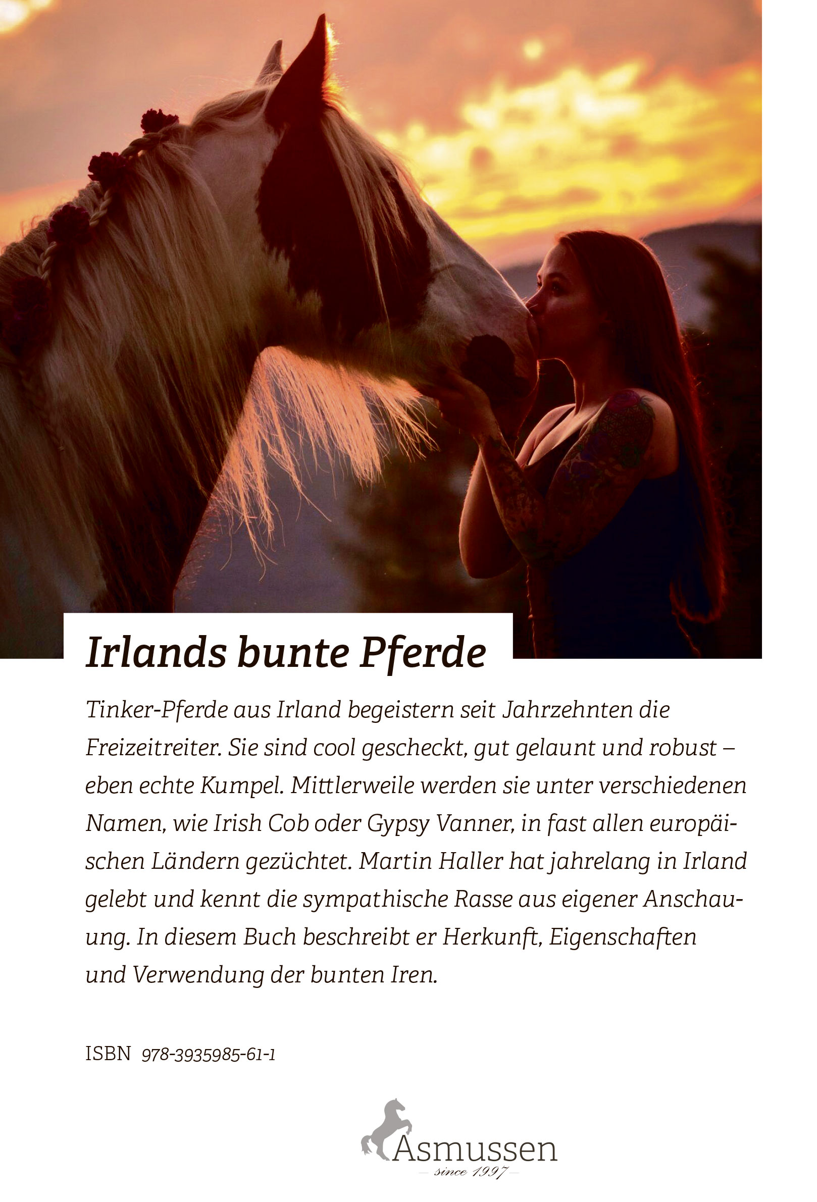 Rückseitencover Irlands bunte Pferde