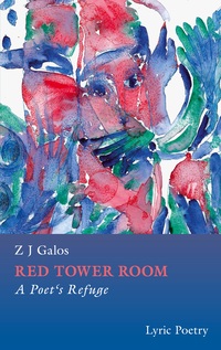 Vorderes Coverbild Red Tower Room