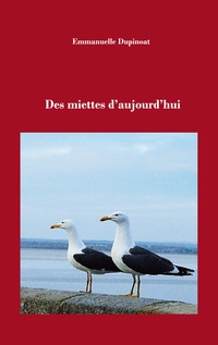 Vorderes Coverbild Des miettes d'aujourd'hui