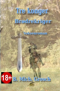 Vorderes Coverbild Tre konger