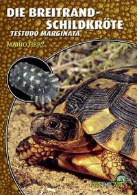 Vorderes Coverbild Die Breitrandschildkröte