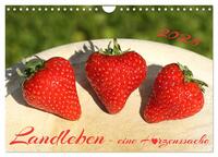 Vorderes Coverbild Landleben - eine Herzenssache (Wandkalender 2025 DIN A4 quer), CALVENDO Monatskalender