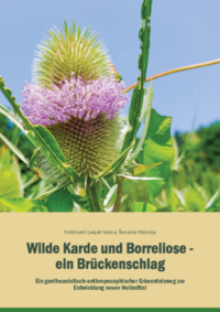 Vorderes Coverbild Wilde Karde und Borreliose – ein Brückenschlag