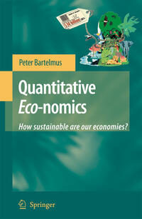 Vorderes Coverbild Quantitative Eco-nomics