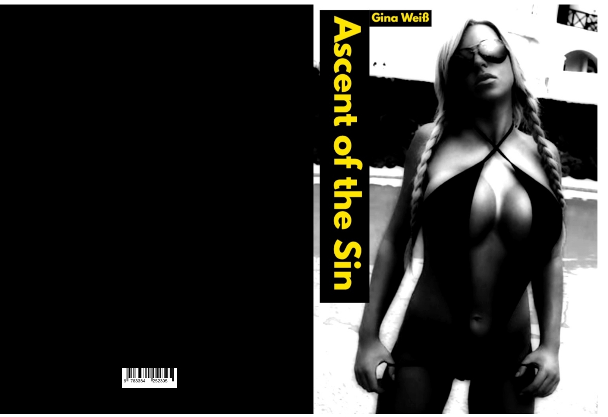 Gesamtes Coverbild Ascent of the Sin