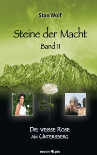 Vorderes Coverbild Steine der Macht – Band 11