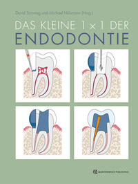 Vorderes Coverbild Das kleine 1x1 der Endodontie