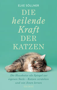 Vorderes Coverbild Die heilende Kraft der Katzen, 2. Auflage, Bestseller